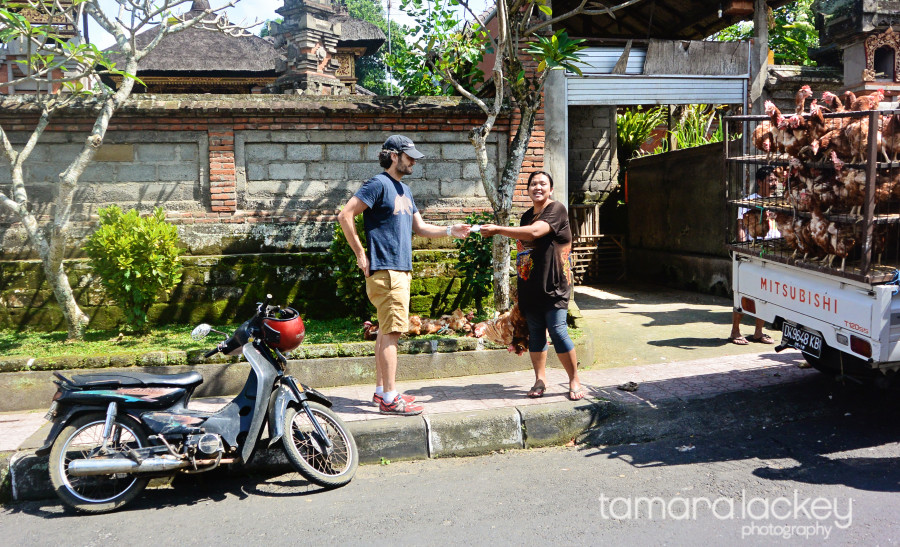 Tamara Lackey, What If Conference, mindfulness, Bali, travel photography