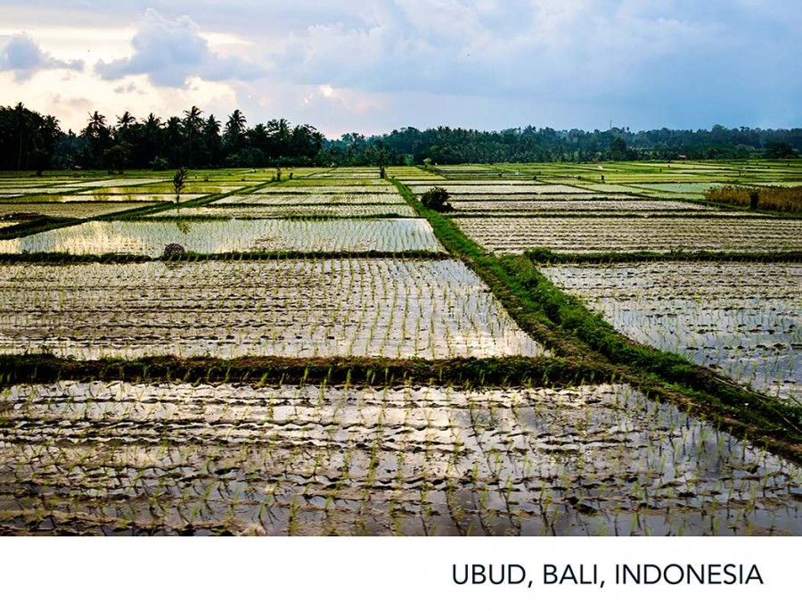 Around The World, Ubud, Bali, Indonesia, travel photography, Tamara Lackey