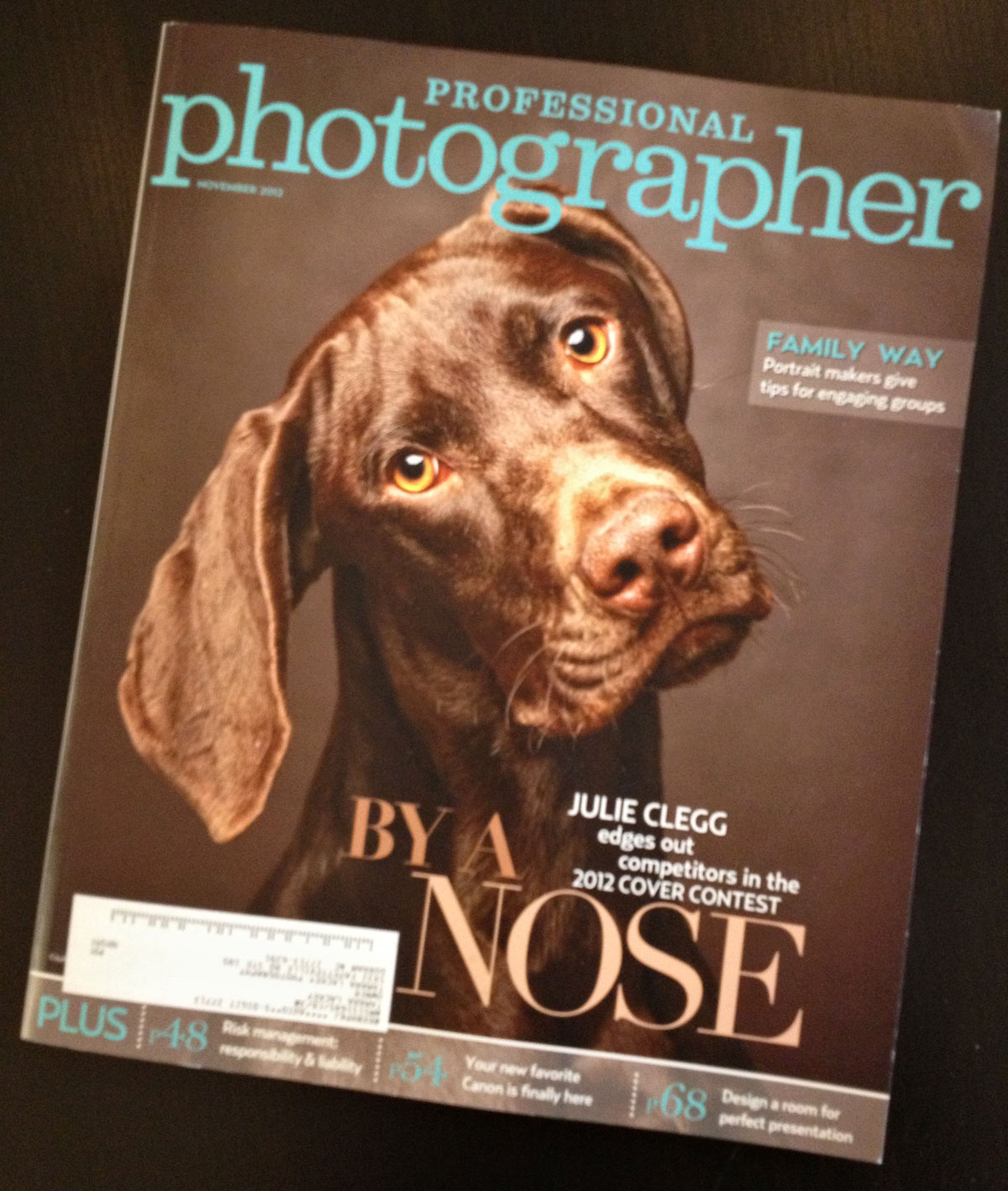 cover professional photographer mag