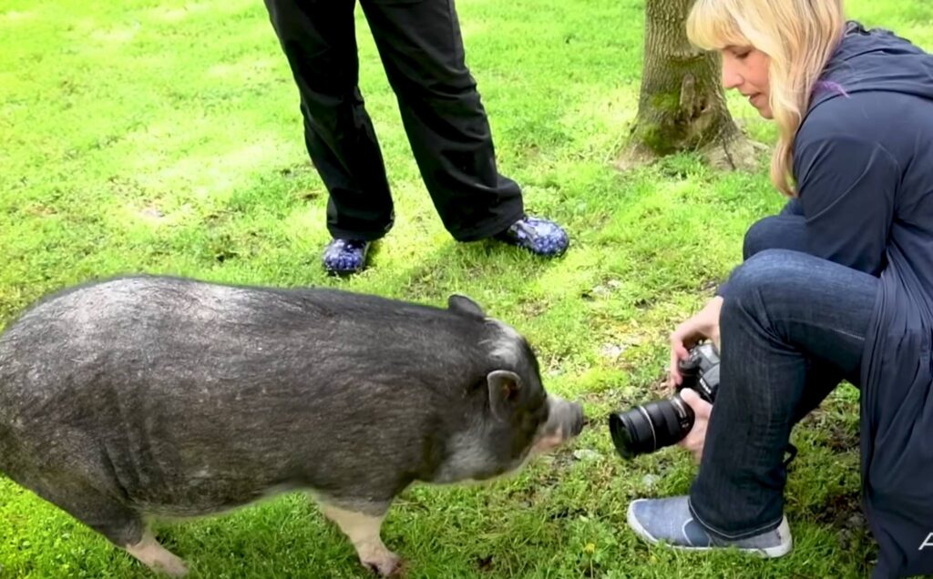 Tamara gets up close and personal with a pet pig