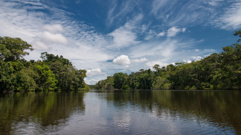 La Selva Lodge in the Amazon Rainforest in Ecuador.