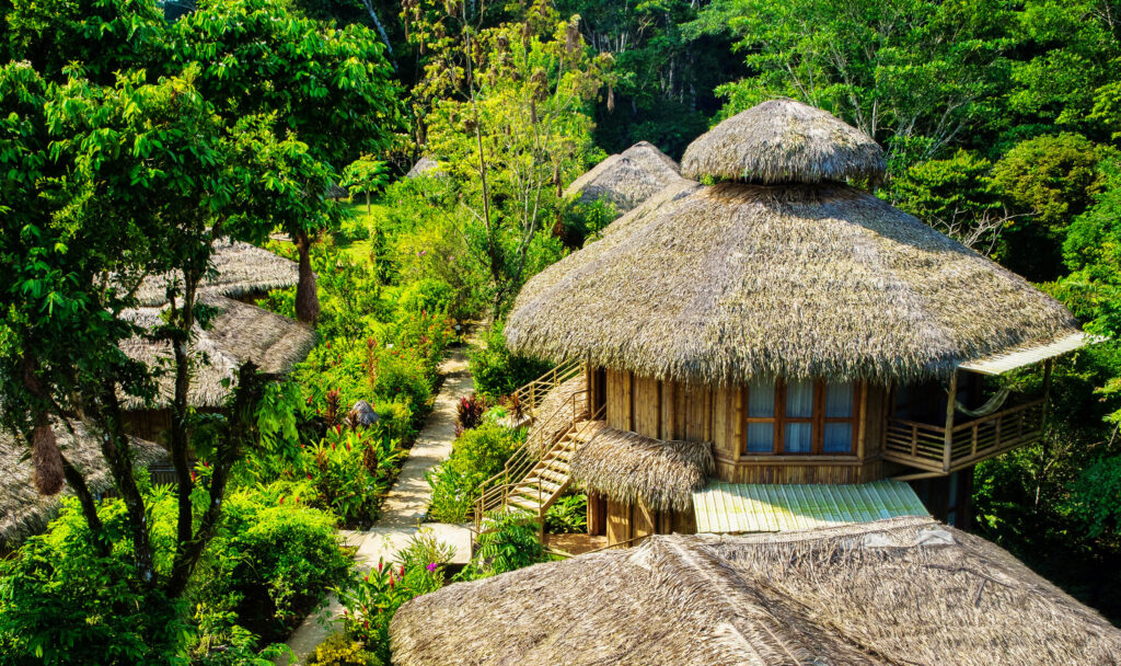 La Selva Lodge in the Amazon Rainforest in Ecuador.